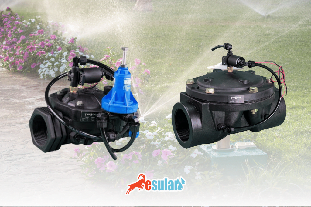 esular-disli-vana-web