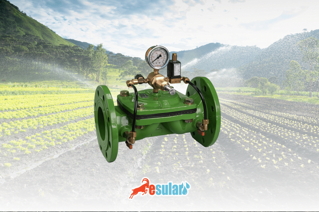 esular-dokum-vana-web