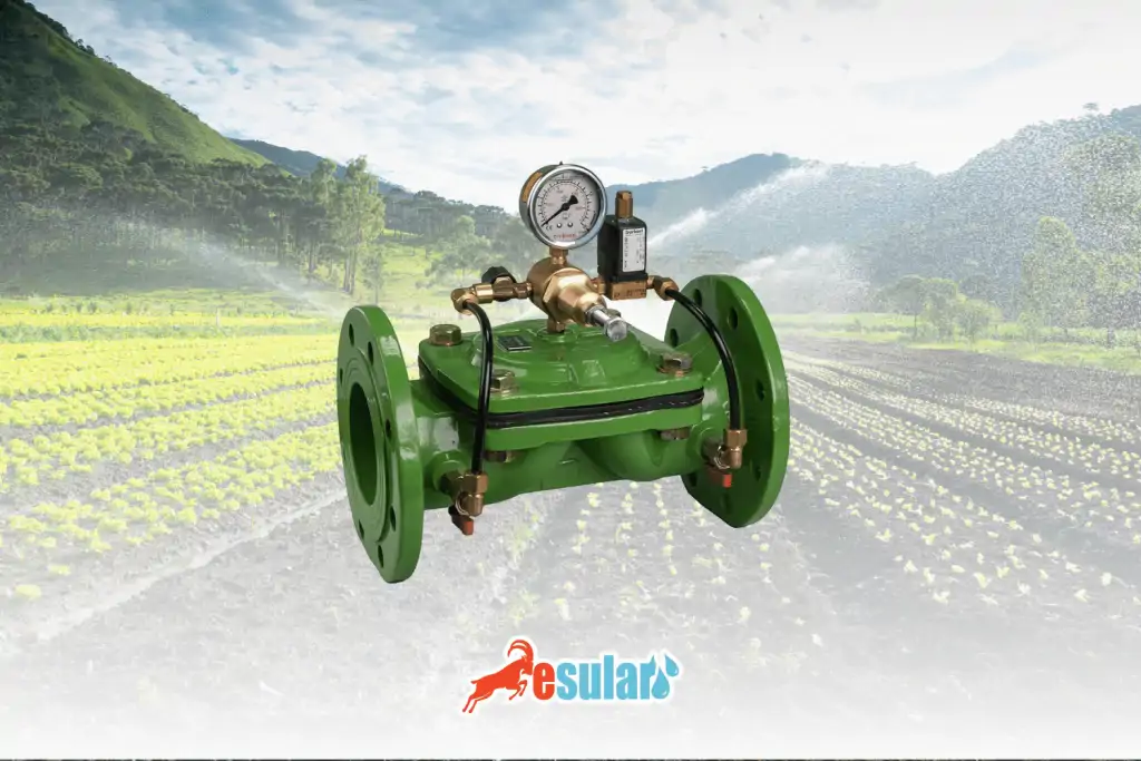 esular-dokum-vana-web