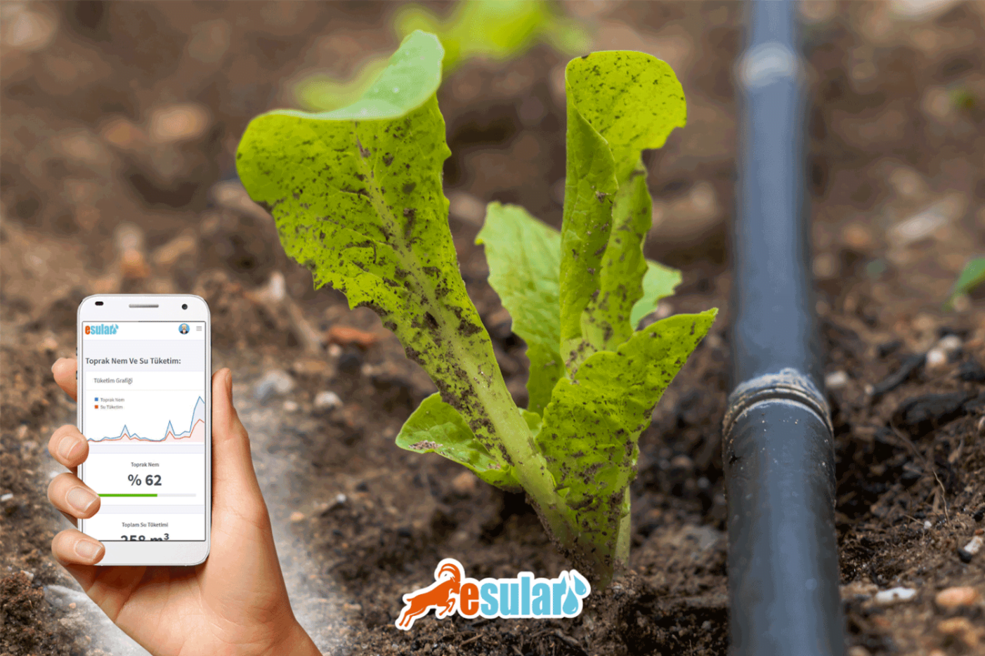 Drip Irrigation System