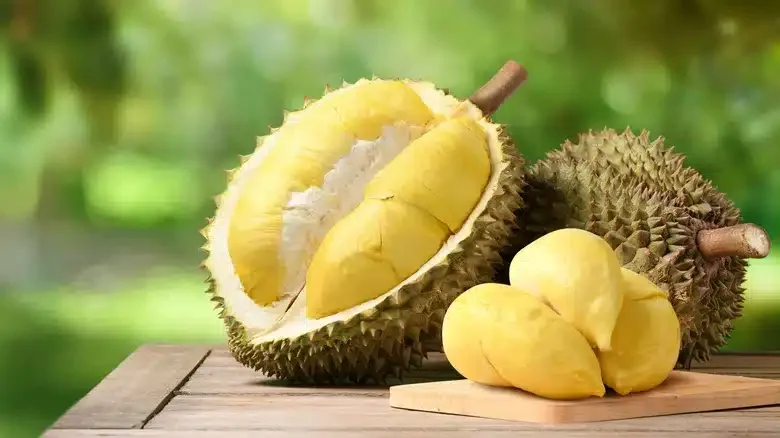 Was ist die Durian-Frucht? Wie wird der Durian-Anbau betrieben?