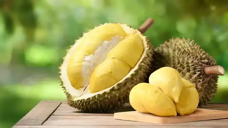 Durian Meyvesi Nedir? Durian Meyvesi Yetiştiriciliği Nasıl Yapılır?