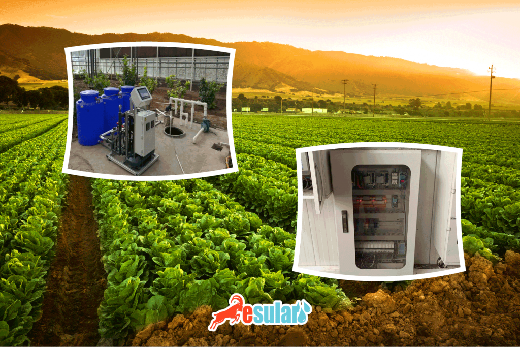 esular-fertilizer-dosing