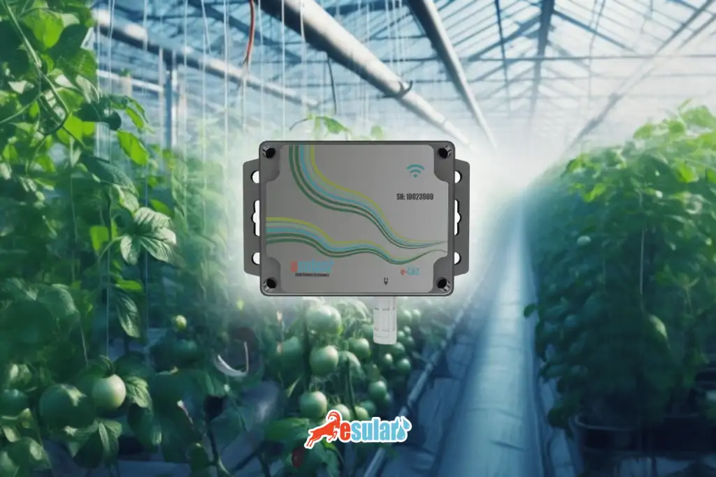 esular-karbondioksit-sera