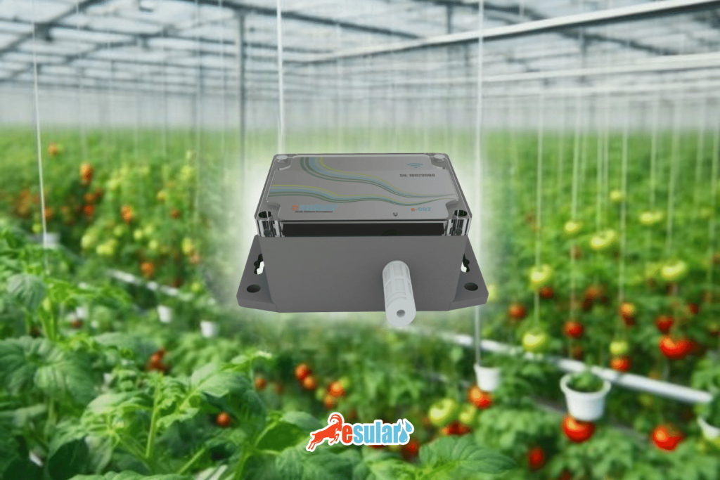 esular-karbondioksit-sera