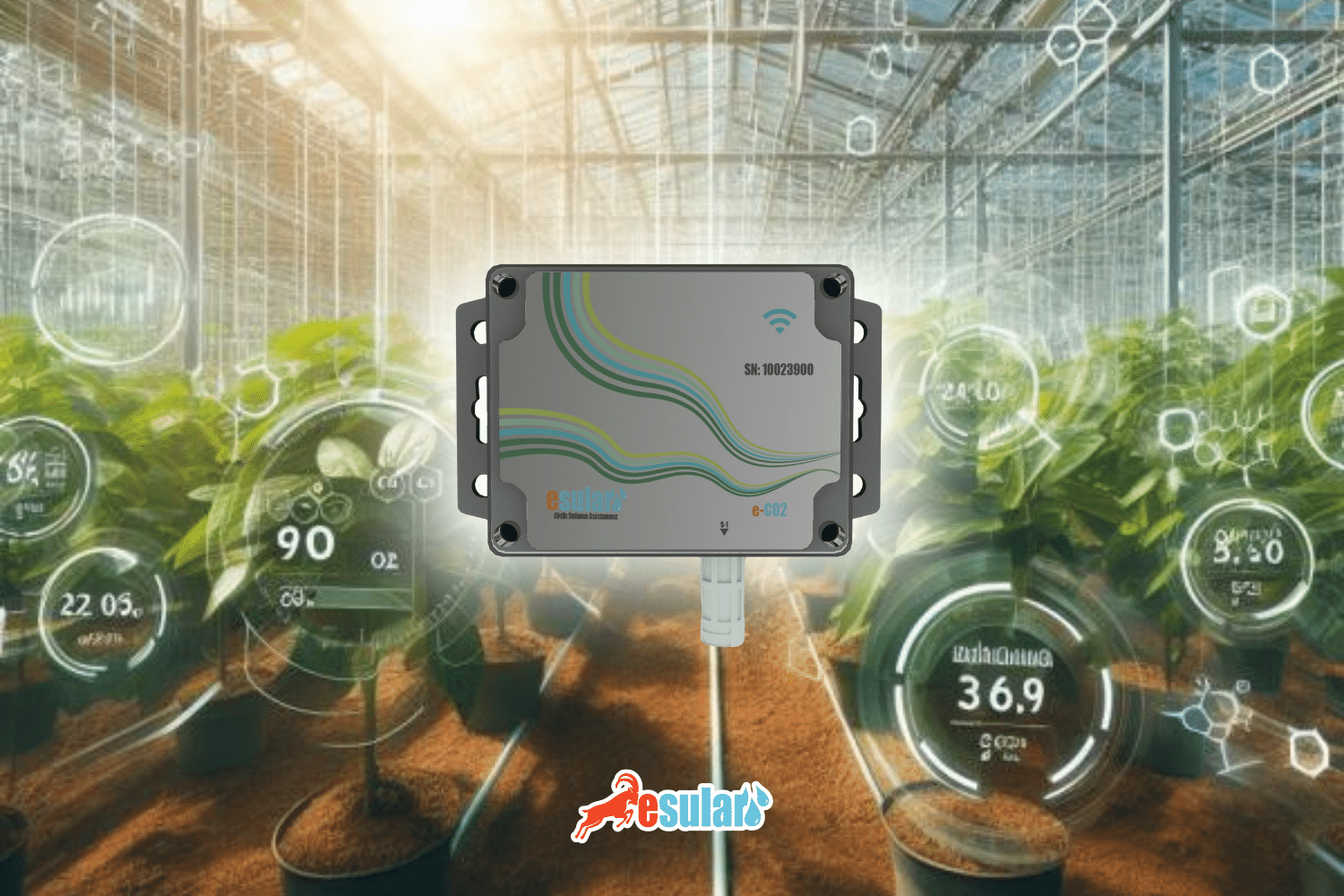 CO2-Sensor