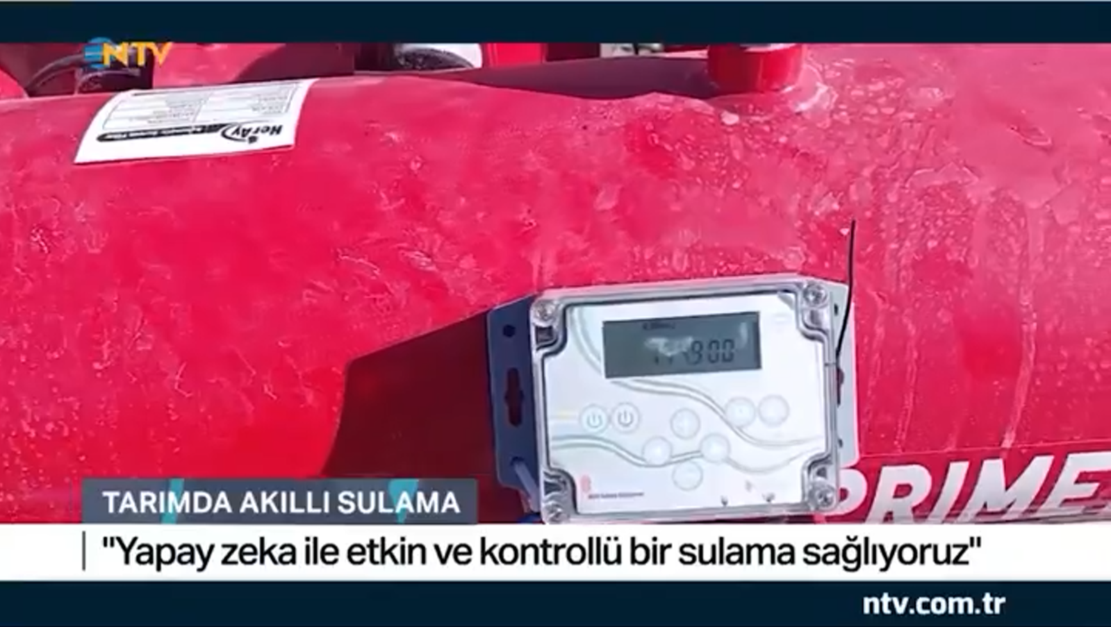 我们在 NTV 屏幕上介绍了 Esular