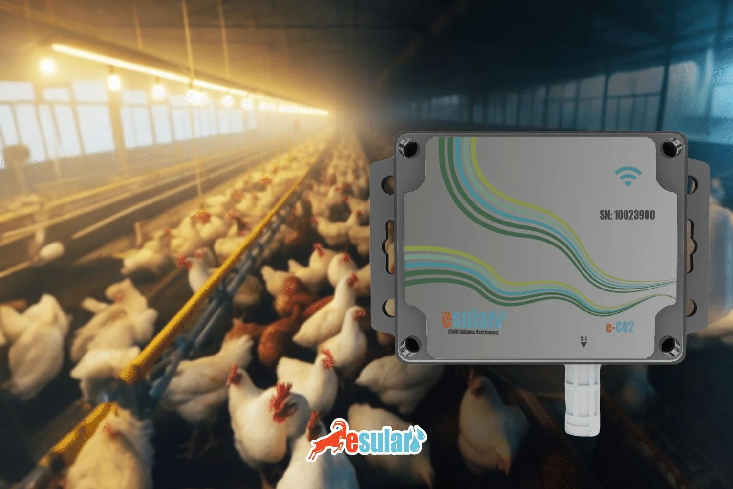 Carbon Dioxide Measurement and Monitoring in Chicken Houses
