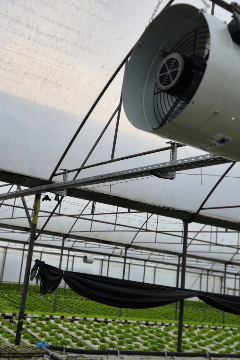 Esular Greenhouse Climate Control Systems