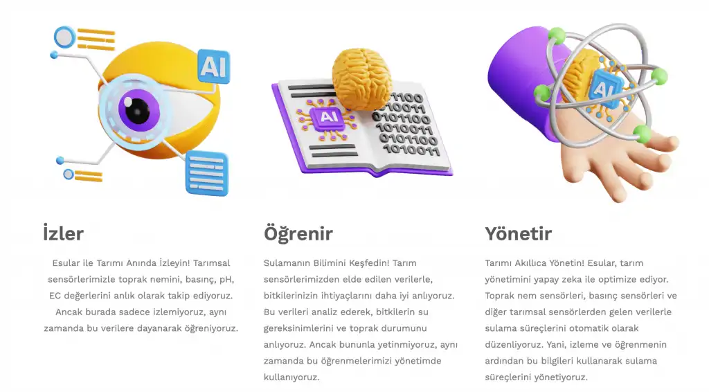 esular-strong-bosses-img-2