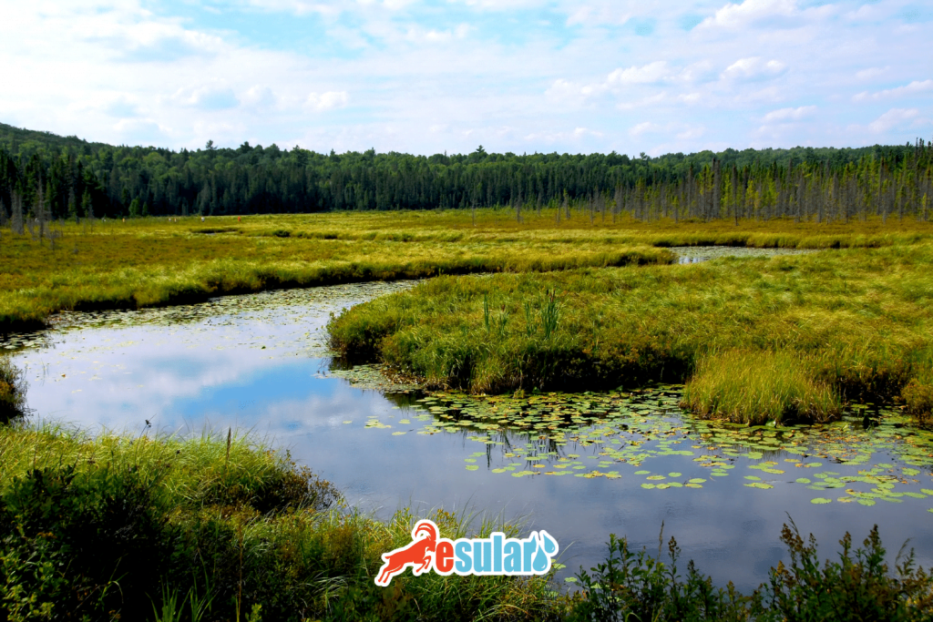 esular-sulak-alanlar-web-1
