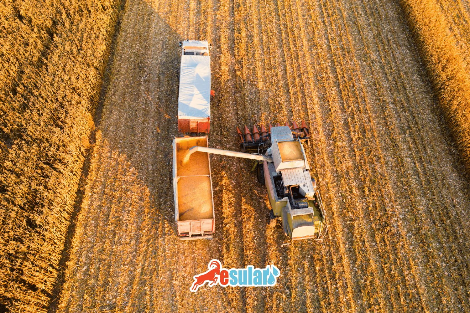 New Agricultural Production Regulation: What is Changing in the Agricultural Sector?