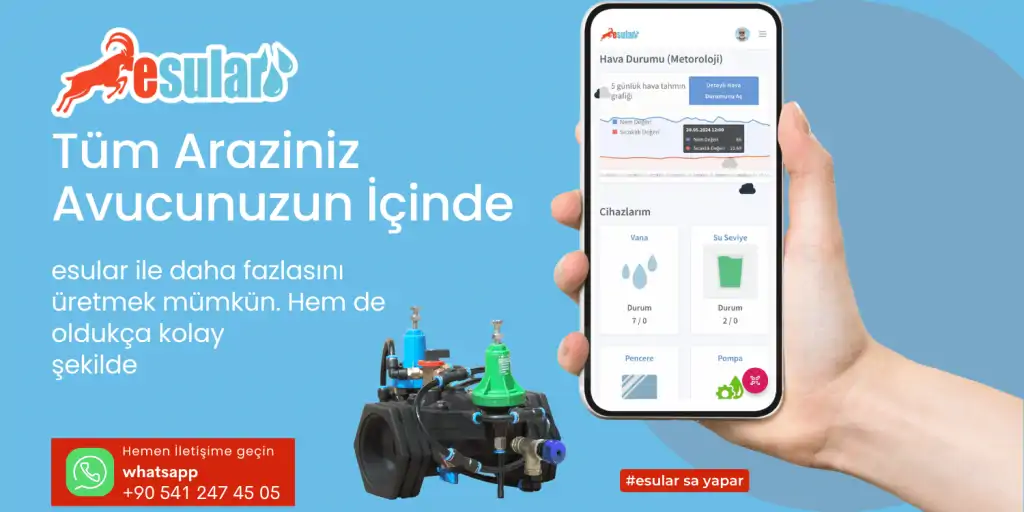 Boru Hattı Hava Tahliye Vanası Uygulaması