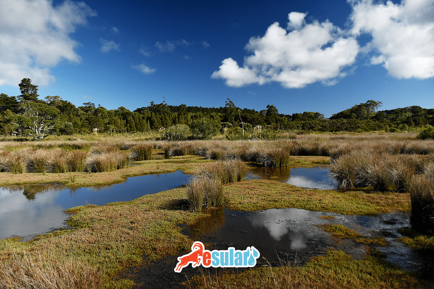 How Are Drying Groundwater Resources Threatening the Future of Irrigation Systems?