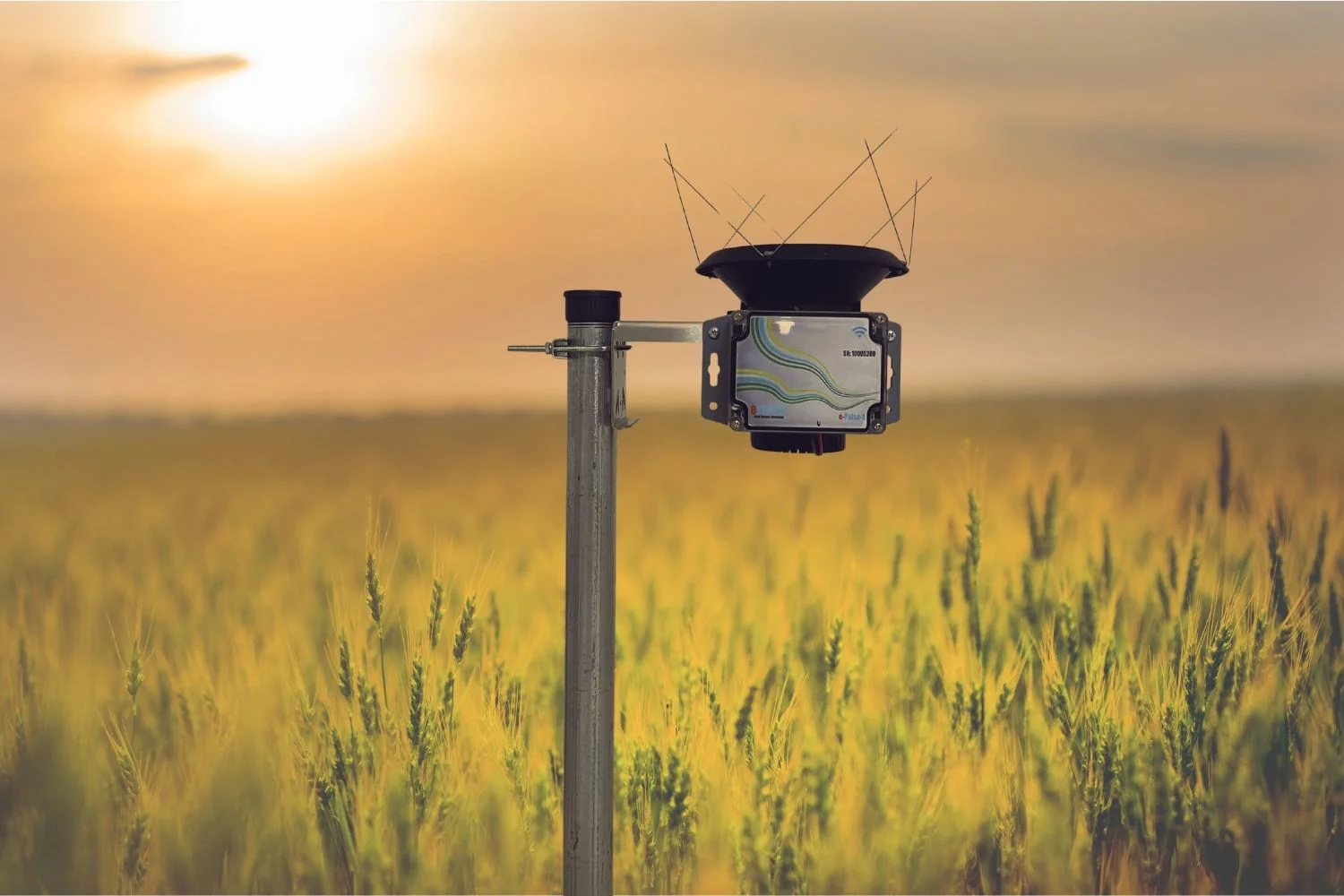 What is a Rainfall Quantity Sensor?