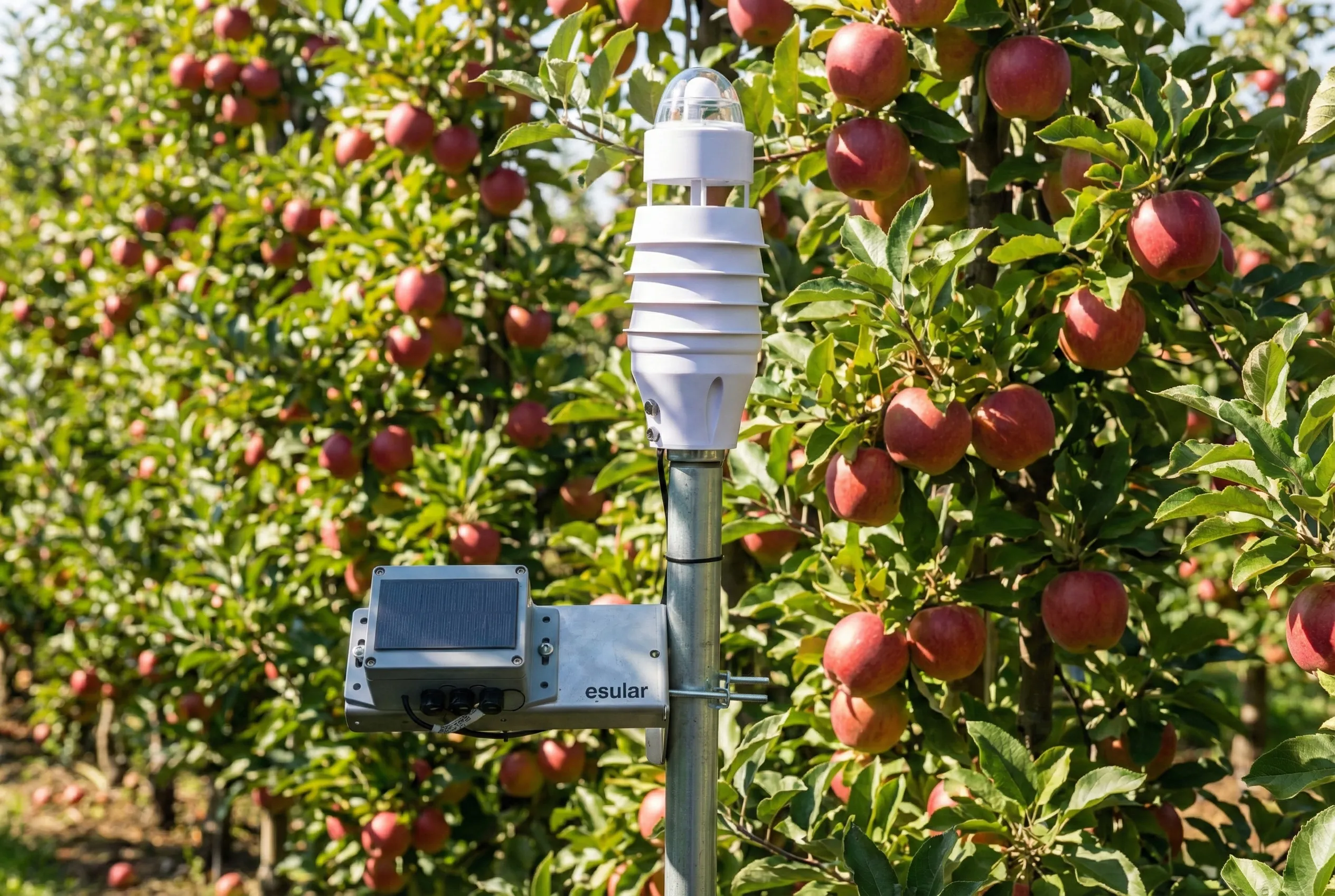 esular artificial intelligence supported climate station