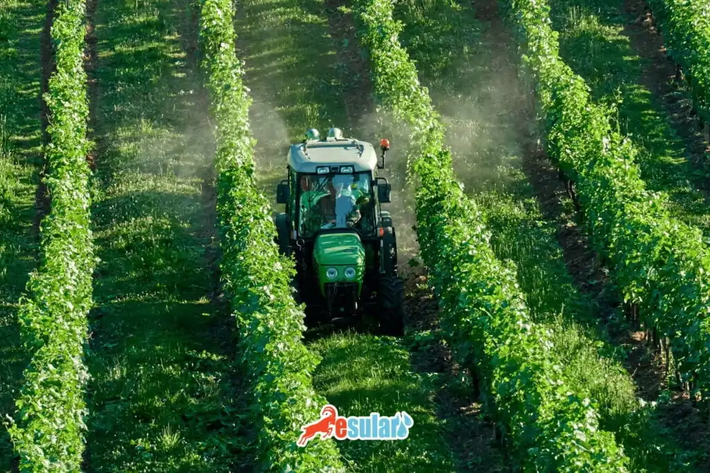 esular-zirai-ilaclar