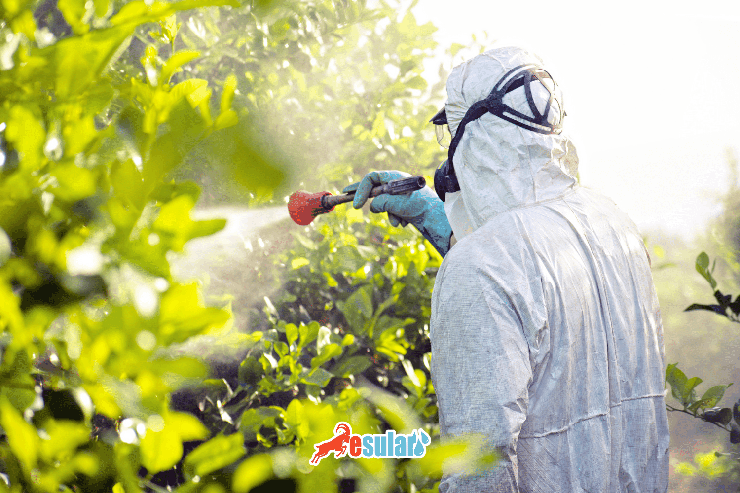 Agricultural Pesticides