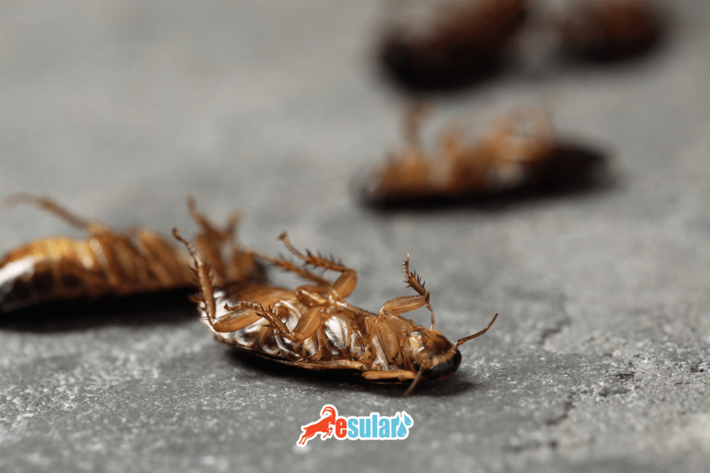 esular-zirai-ilaclarn-cevreye-insanlara-olan-etkileri