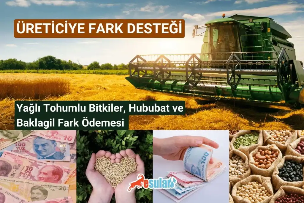 fark-destegi-ödemeleri-ne-zaman