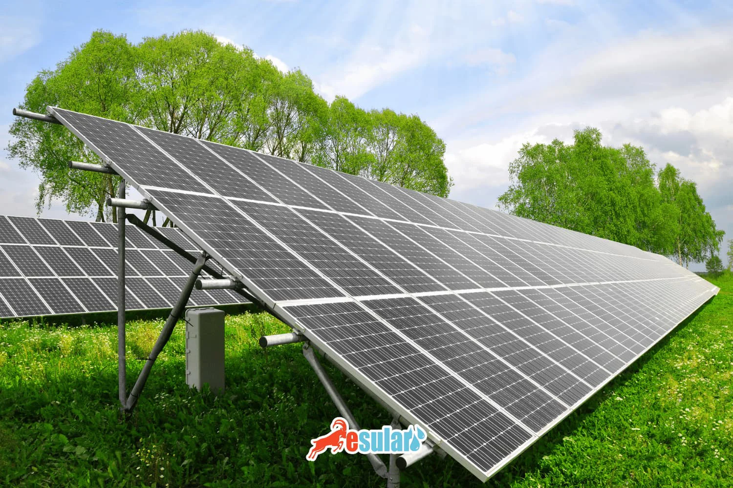 استخدام الطاقة الشمسية في الزراعة