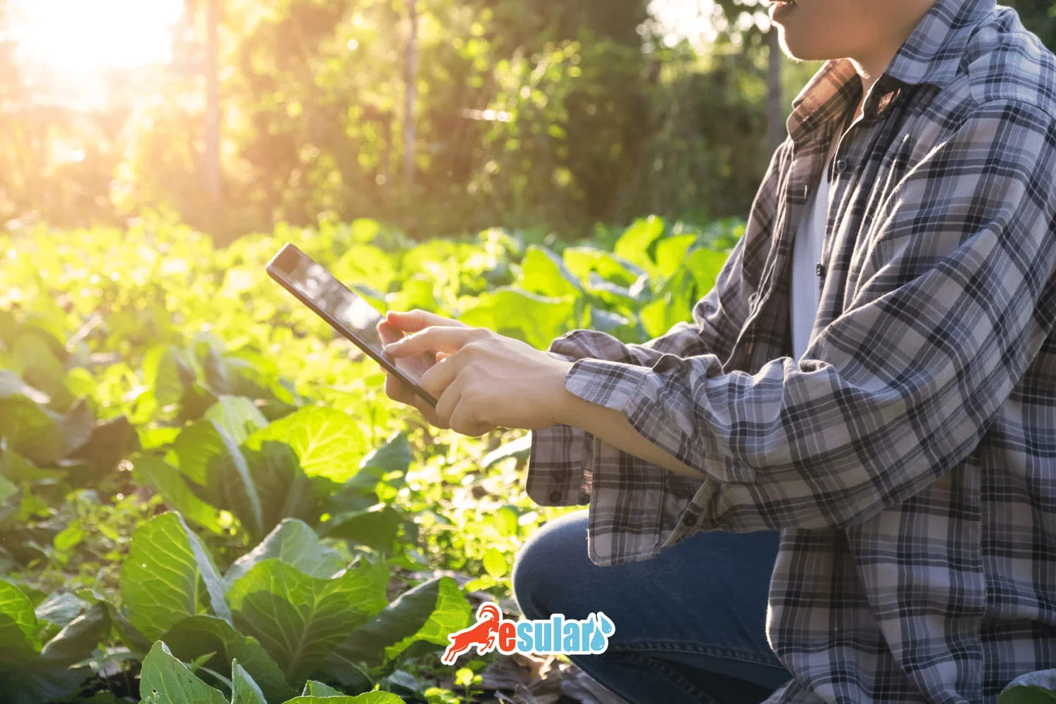 什么是肥料追踪系统 (GTS)？2025 最新指南 | esular