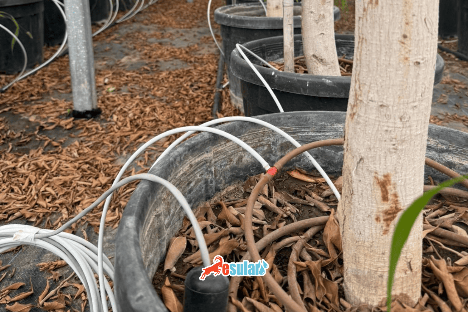 Soil Water Holding Capacity Guide: Field Capacity and Wilting Point Values