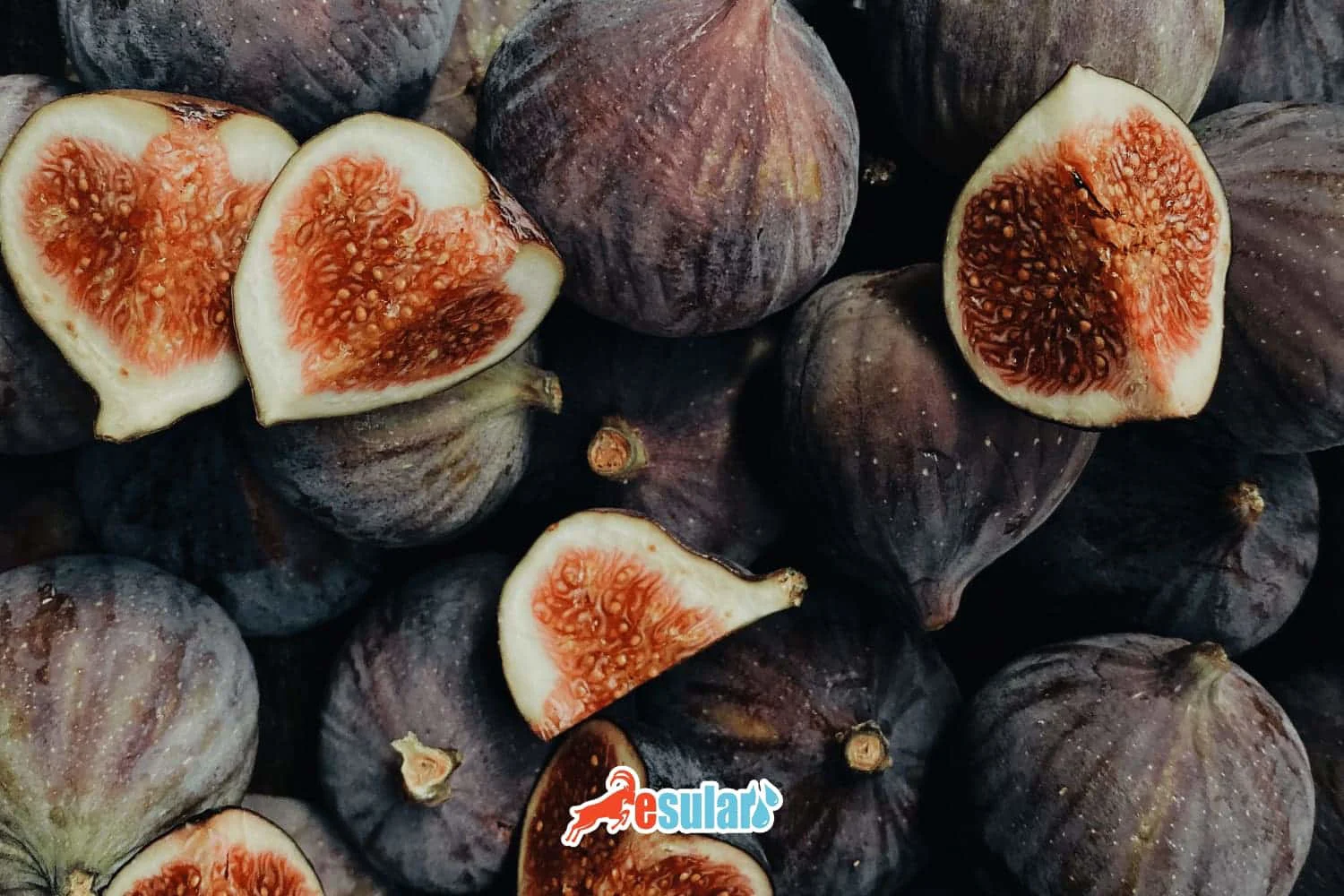 How is Fig Cultivation Done?