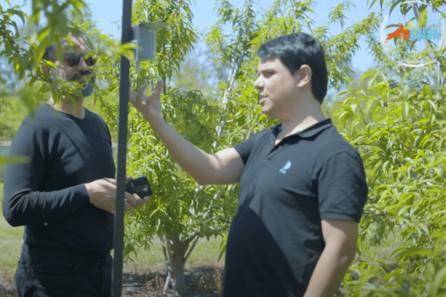 Huerto de Melocotoneros, Riego Inteligente Esular, Aplicación de Riego Automático