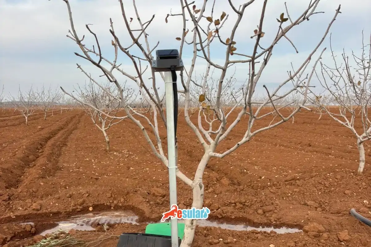 Gaziantep Otomatik Sulama ve Akıllı Sulama Rehberi: Esular ile Tarımda Verimlilik