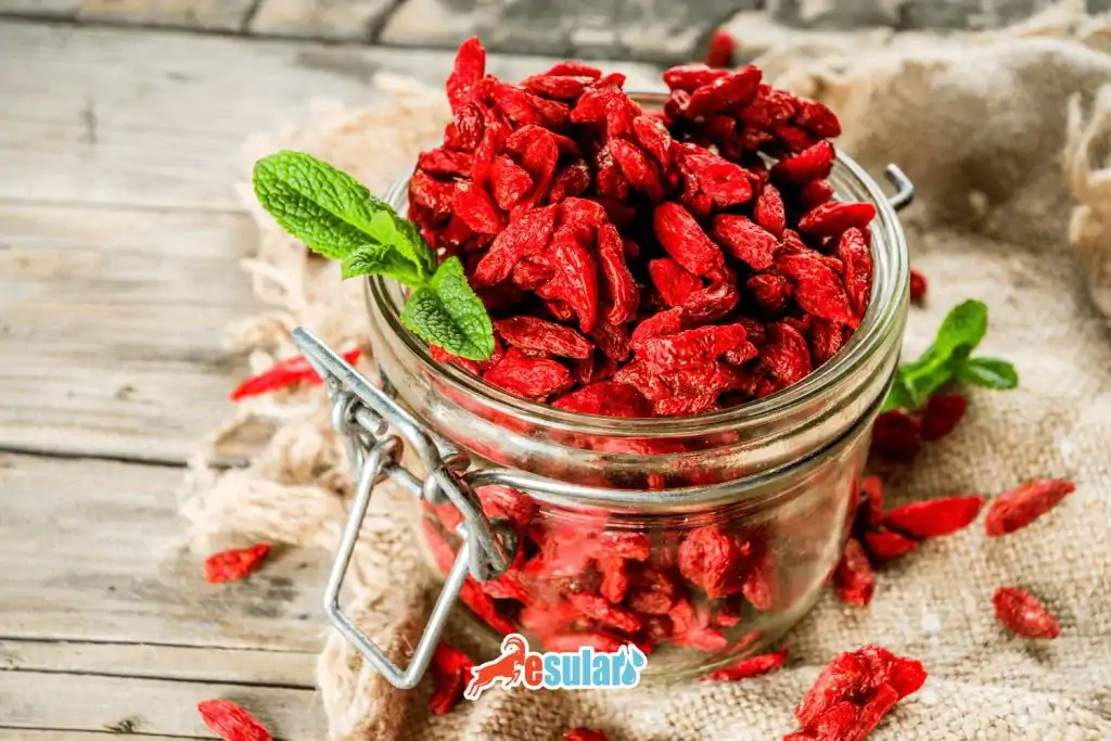 goji berry faydalari