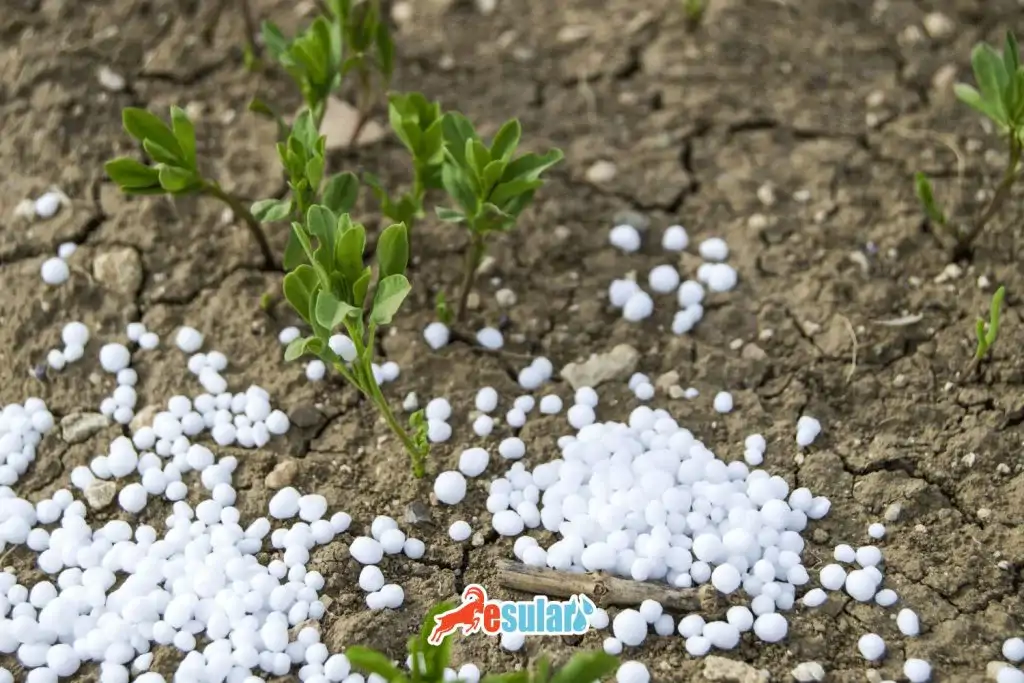 granular-urea-fertilizer