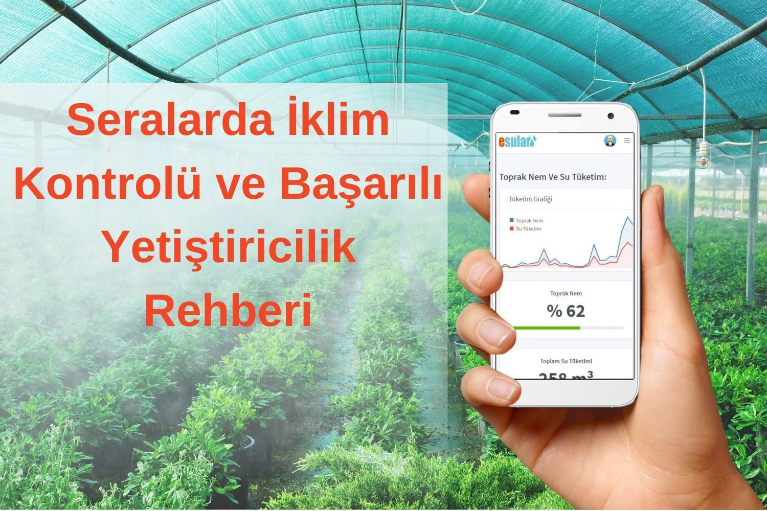 Climate Control in Greenhouses and Successful Cultivation Guide