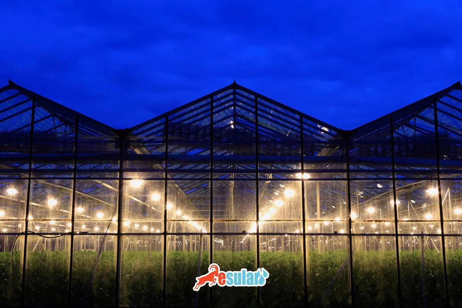 What are Greenhouse Technologies?