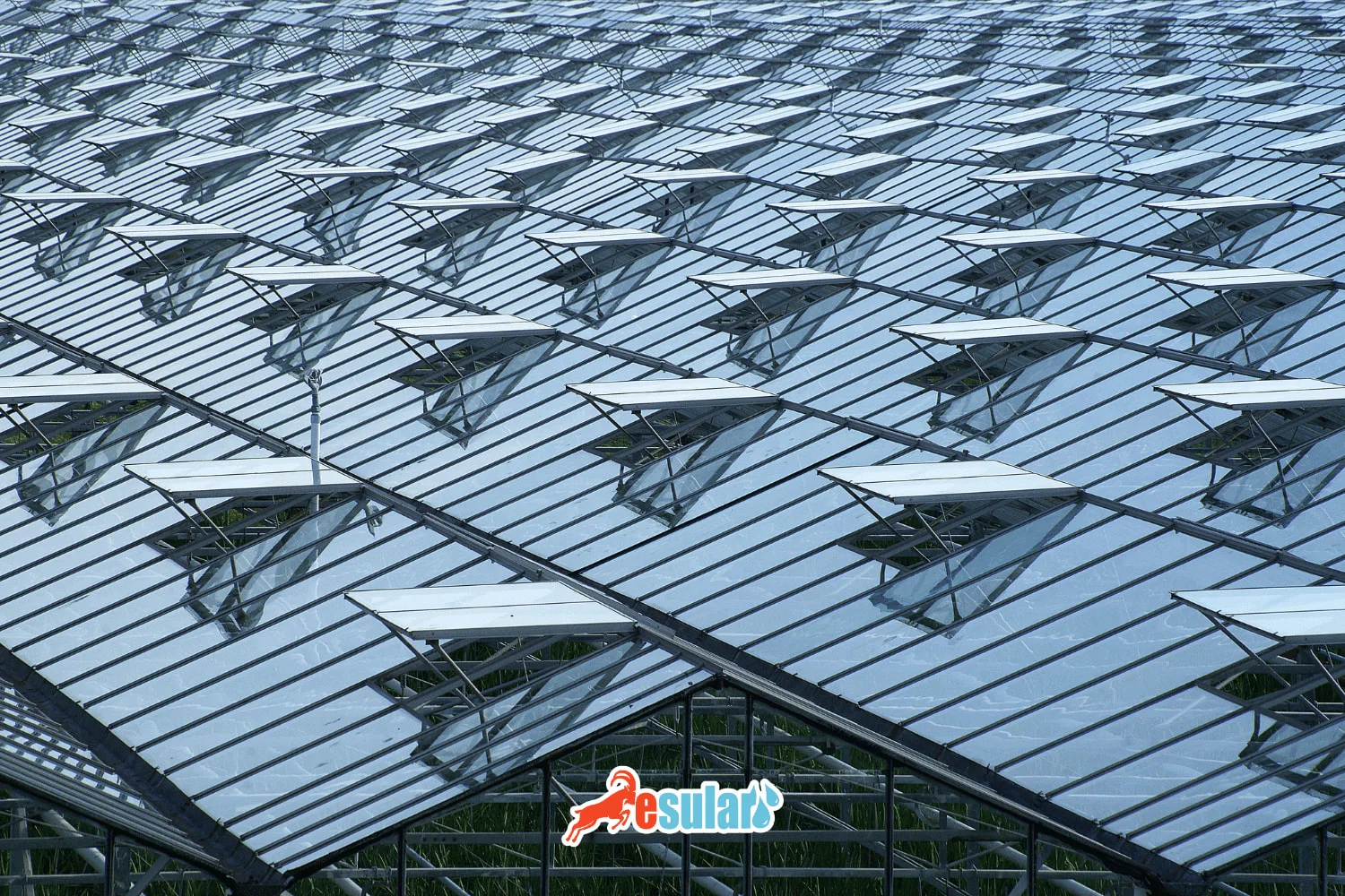 Greenhouse Ventilation Systems