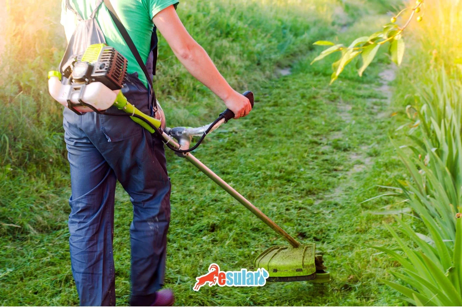 What is a Motorized Scythe? What is it Used For?