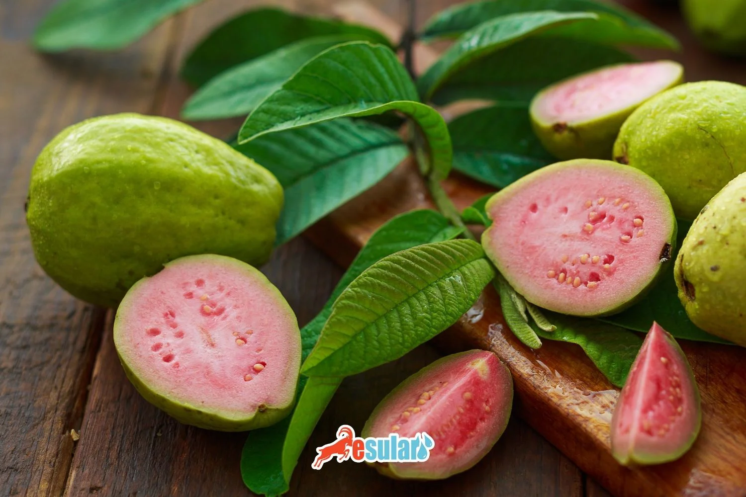 Guava Yetişdirilməsi Necə Aparılır?