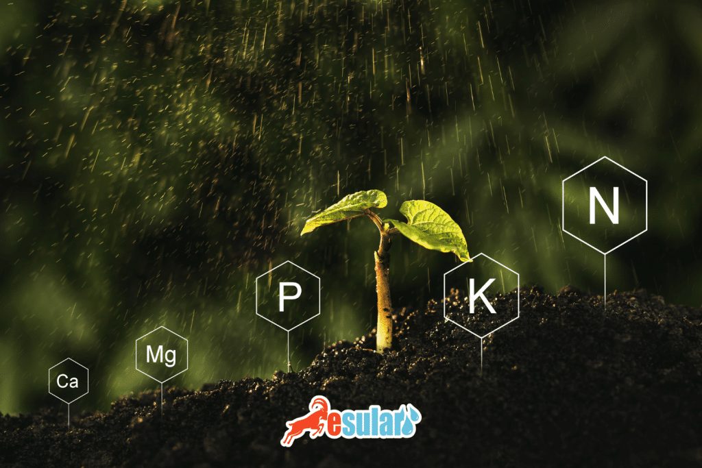 Fertilizer nutrient elements - NPK