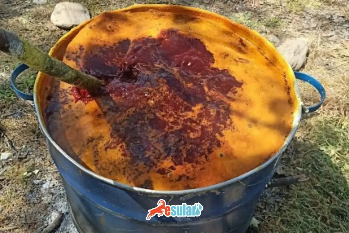 Gülleci Bulamacı Nedir?