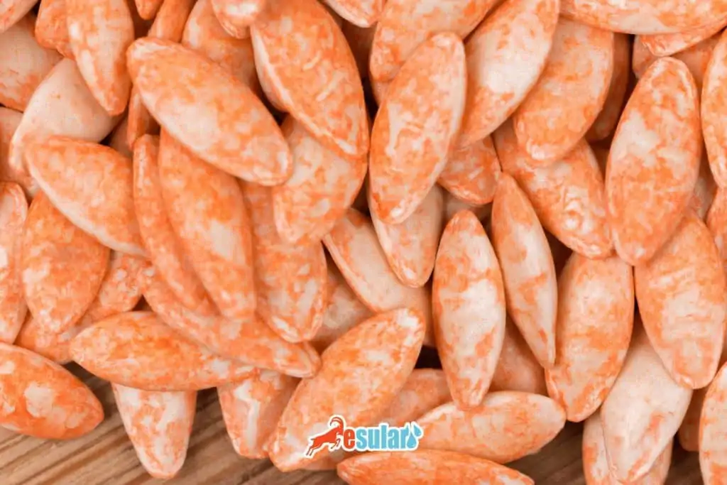 how-hybrid-seed-is-made