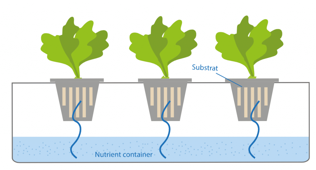 hydroponic-systems