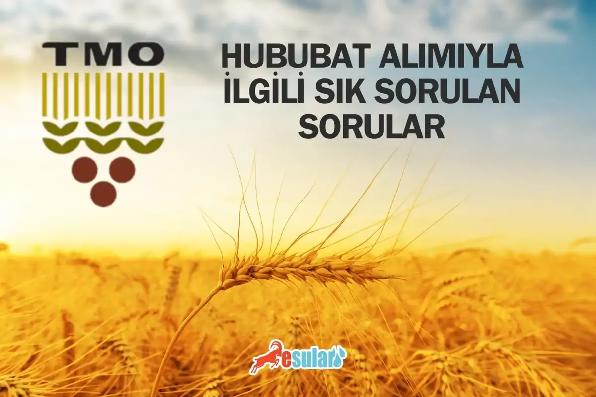 Hububat Alım Süreci