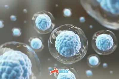 Hücresel Tarım Nedir?