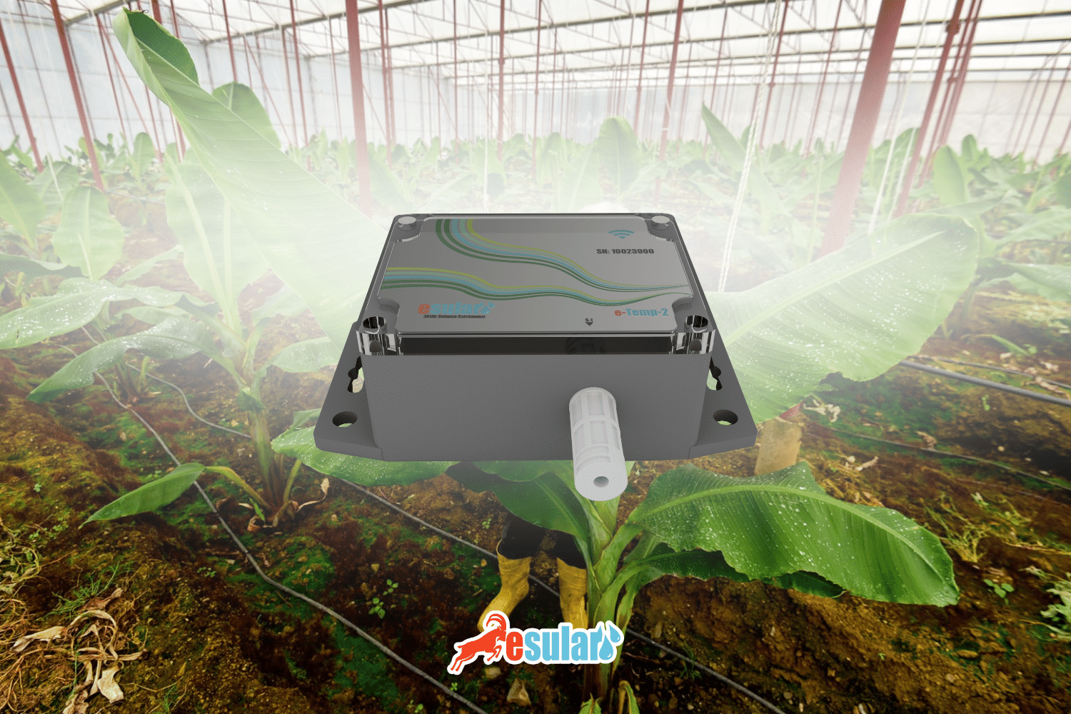 Temperature and Humidity Control in Greenhouses