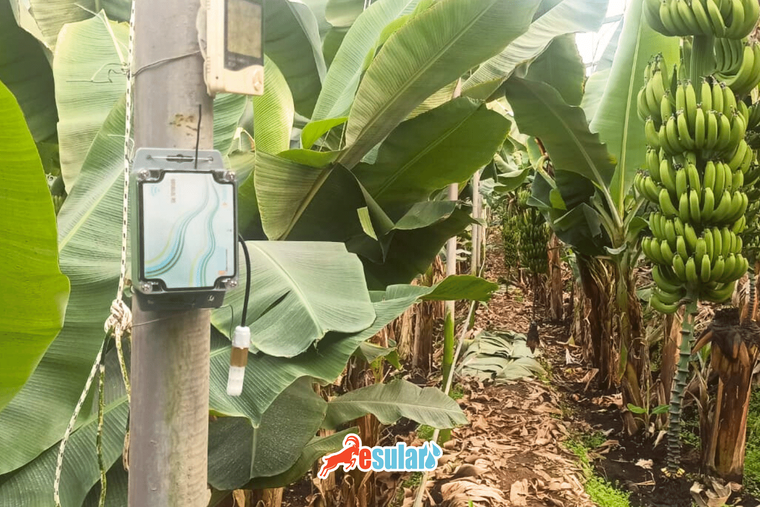 What is a Humidity Temperature Sensor Sensor?