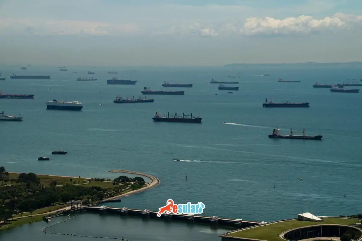 Hürmüz’den Sofraya: Savaşın Küresel Ticarete ve Gıdaya Etkisi