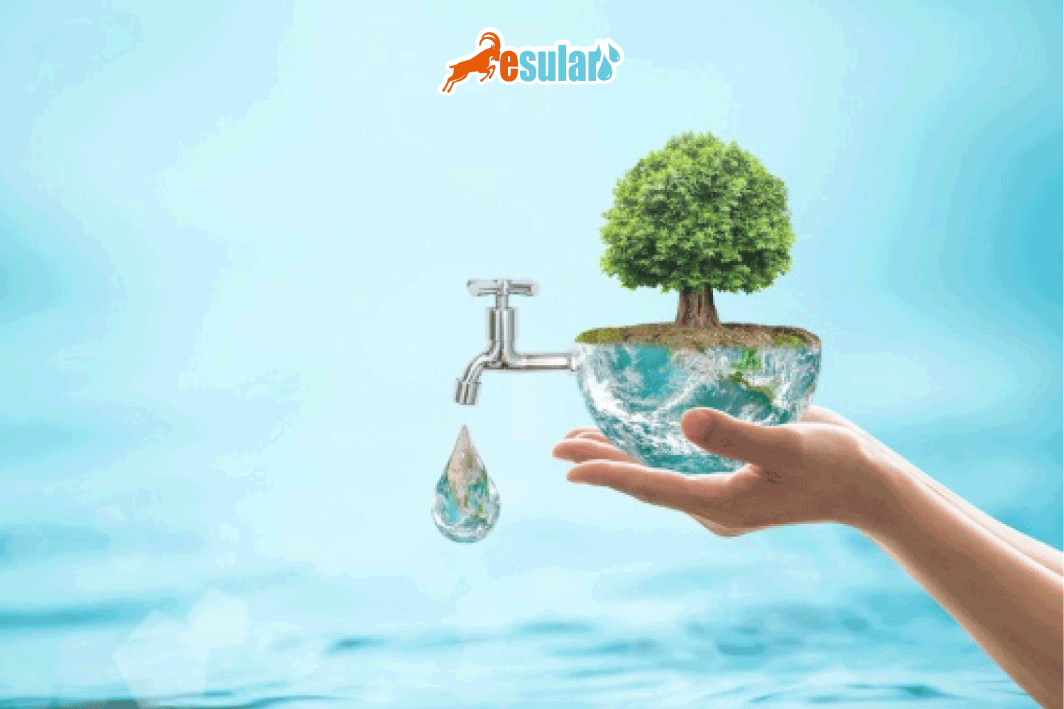 مسودة لائحة كفاءة المياه