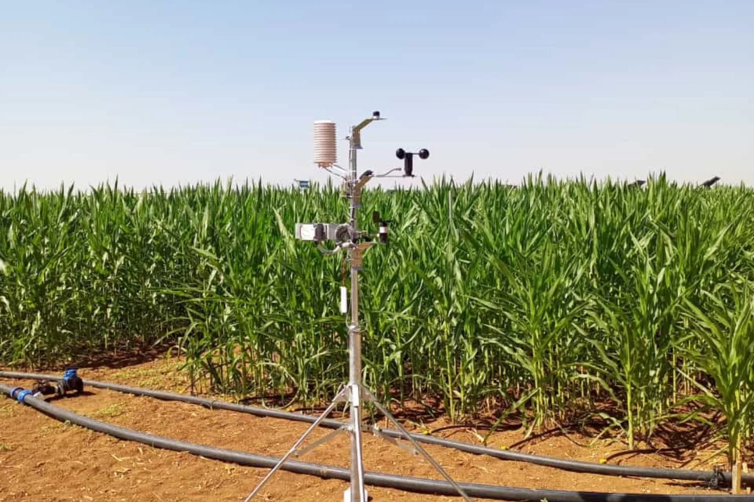 What is a Pyranometer?