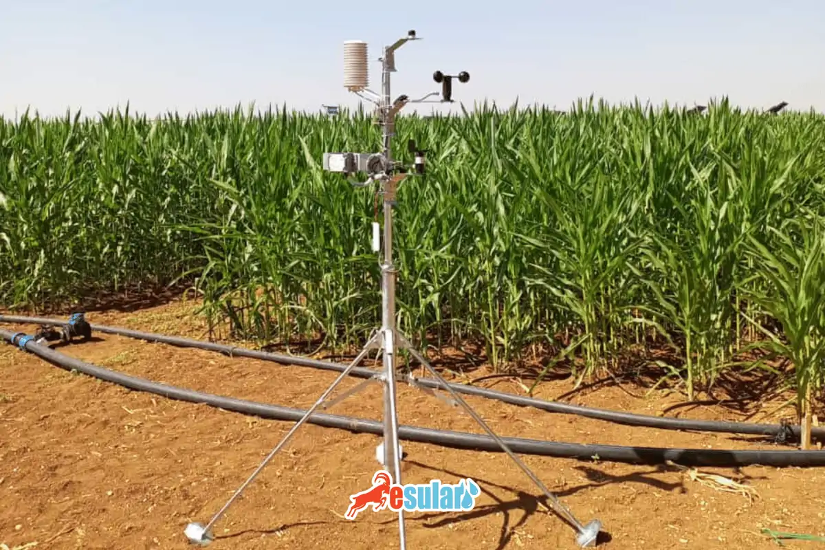 Climate – Meteorology Station