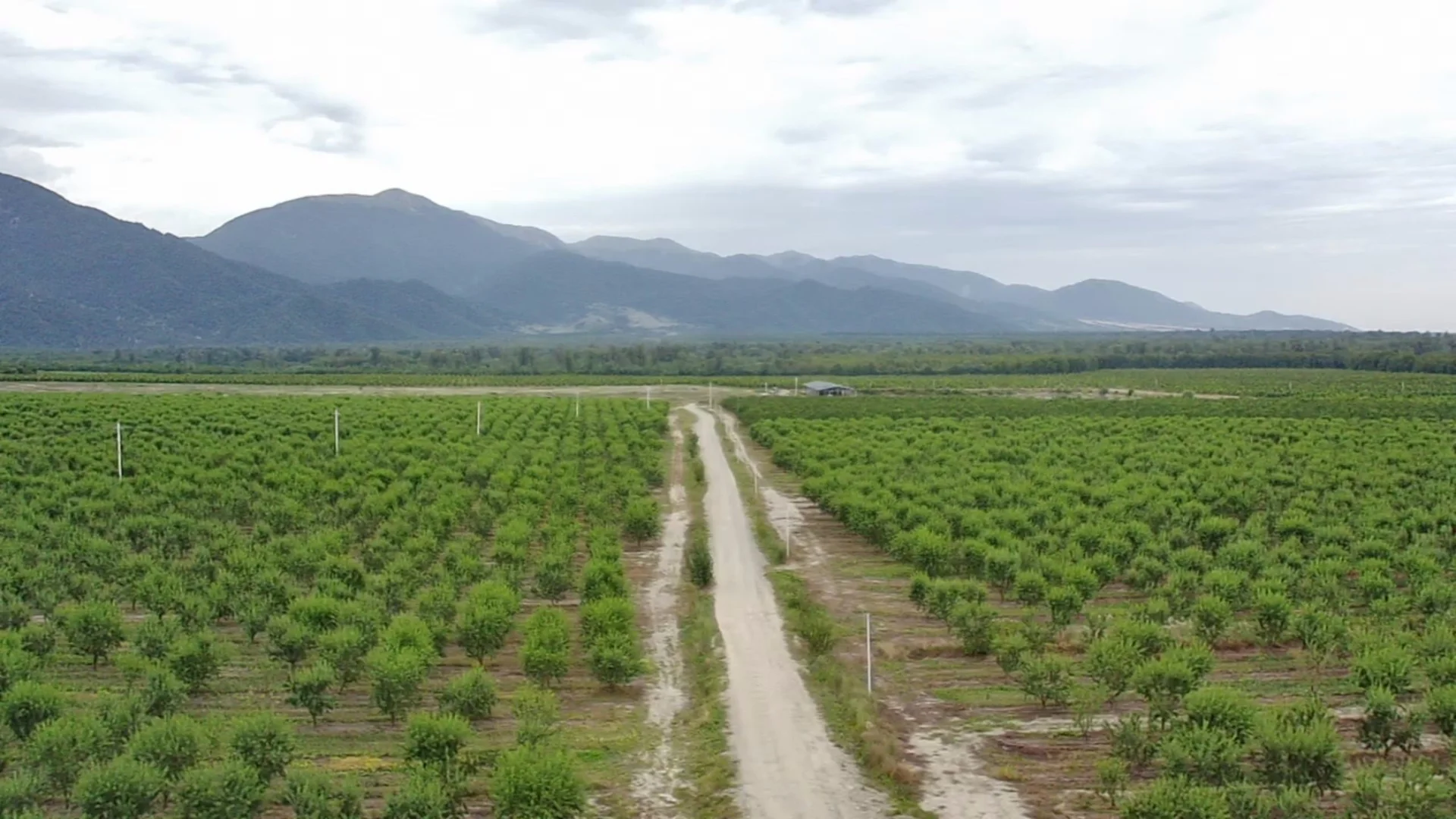 The Golden Rules of Irrigation